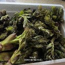 지리산농원 이미지