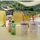 울산 소이빈삼동 후기 한번 간걸로 만족