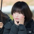 데이비니 이미지