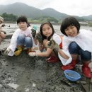 남해-294 이미지