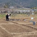 학전농장 이미지