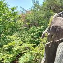 ▣ 양산:- 각종 바위들의 전시장~합장바위~봉화산~늪재봉~감림산-1 이미지
