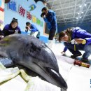 돌고래민박 이미지