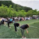 강원도힐링캠핑장 이미지