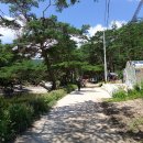 부전계곡(상) 이미지