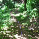 도모지골 이미지