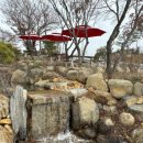 다온숲풀빛정원 이미지