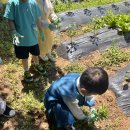 전통문화의날: 소만 (미카엘반) 🌿 이미지