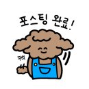 하트애견미용실 이미지