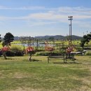 플라밍고C.C 이미지