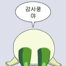 로헤어 네이버블로그