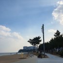 엔제리너스속초 이미지