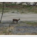 선암골생태유람길 이미지