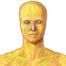 subcutaneous fat(피부밑지방) 이미지