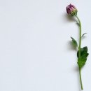 태흥종합건설 주식회사 이미지