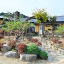 돼지밥상 이미지
