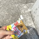 리틀타운 | 5일 싱가포르여행/ 싱가포르 리틀 인디아 / 싱가포르 차이나타운 / 송파바쿠테 후기 / 야쿤카야토스트...