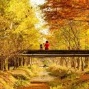 (주)정도환경 이미지