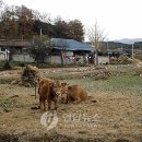 스무숲