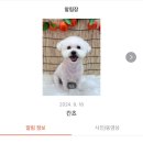 몽띠끄 이미지