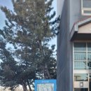 전곡-24 | 연천군 전곡읍 전곡예일세띠앙 아파트 지문푸시풀 도어락(HT-A1001) 설치 후기