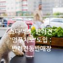 시도7호선R | 스타벅스, 반려견 '멍푸치노' 도입 : 스타벅스 반려견 동반 매장