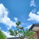 마음연구소민박 이미지