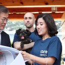 에이제이티 이미지