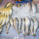 조씨상회 이미지