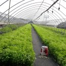 동훈농장 이미지