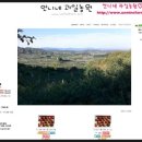 언니네과일