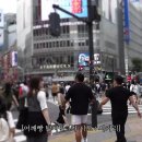일본 부츠카리(어깨빵) 참교육 나선 추성훈 스윙스 이미지