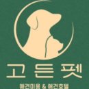 고든펫 이미지