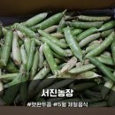 서진농장 네이버블로그