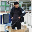 비상초등학교 이미지