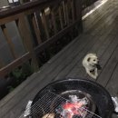 에메랄드원룸앞 이미지