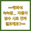 뒷좌석 눅눅함… 자동차 방수 시트 진짜 필요해요?