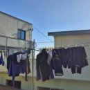 미혜민박 이미지