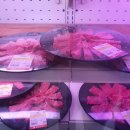 하누마을 이미지