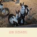 강화 프렌쥬랜드 실내 동물 먹이주기 체험 유아 초저 추천