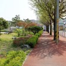 운산초등학교 옆 이미지