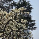 보문로1(남) 이미지