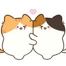 더히로 플레이그라운드 이미지