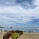 호연주택 | 친구와의 부산여행 2박 3일 코스 - 해운대, 광안리, 전포동, 기장 돌아다니기 그리고 이재모피자