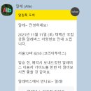 &#39;알레버스&#39;로 &#39;태백산 천제단&#39; 가는법과 이용후기