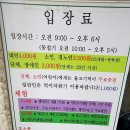 슈어샷
