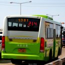 사파동214 이미지