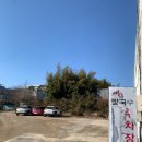 예향얼크니손칼국수 홍성점 이미지