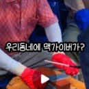 양평2동-11 이미지