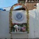 컴페니언바이주문진 이미지